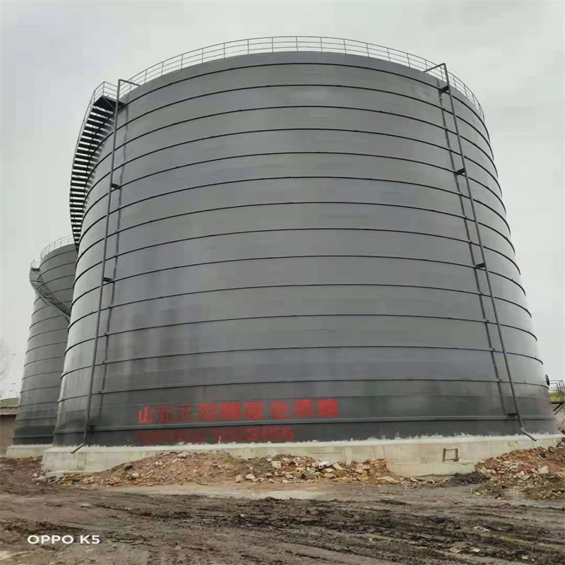 剑阁3万吨大型钢板库