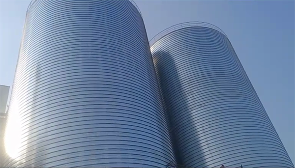 剑阁2座混凝土高架卷板仓